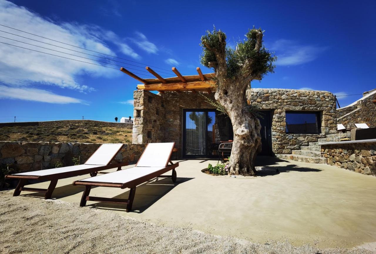 M-Vibes Mykonos Suites 卡拉法蒂斯 外观 照片