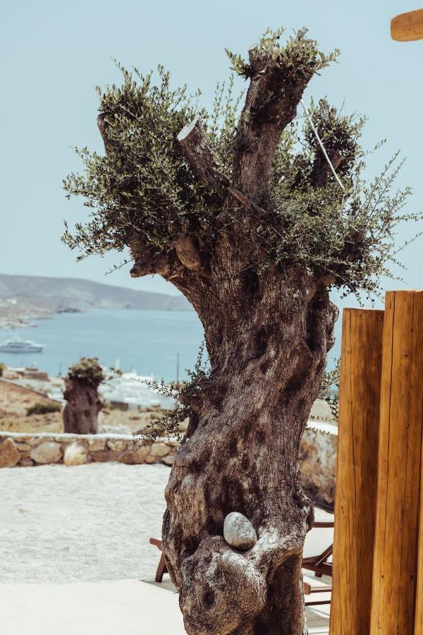 M-Vibes Mykonos Suites 卡拉法蒂斯 外观 照片